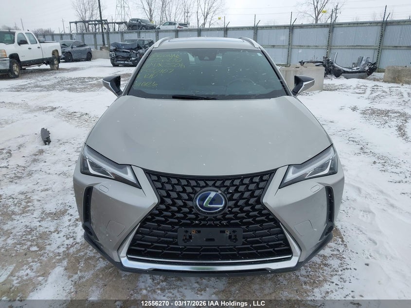 2020 Lexus Ux 250H VIN: JTHP9JBH7L2030407 Lot: 12556270