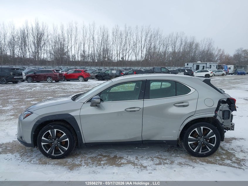 2020 Lexus Ux 250H VIN: JTHP9JBH7L2030407 Lot: 12556270