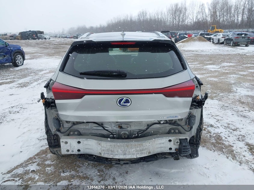 2020 Lexus Ux 250H VIN: JTHP9JBH7L2030407 Lot: 12556270