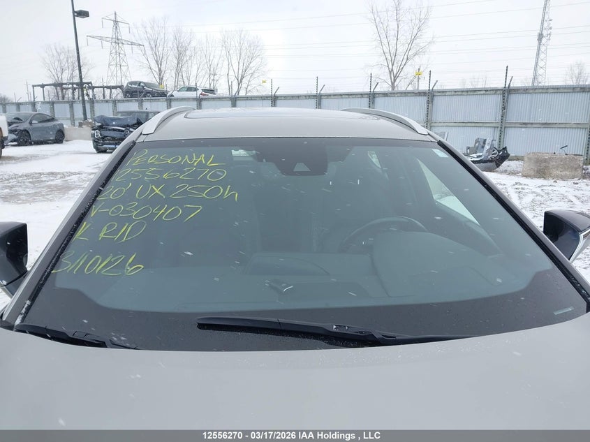 2020 Lexus Ux 250H VIN: JTHP9JBH7L2030407 Lot: 12556270