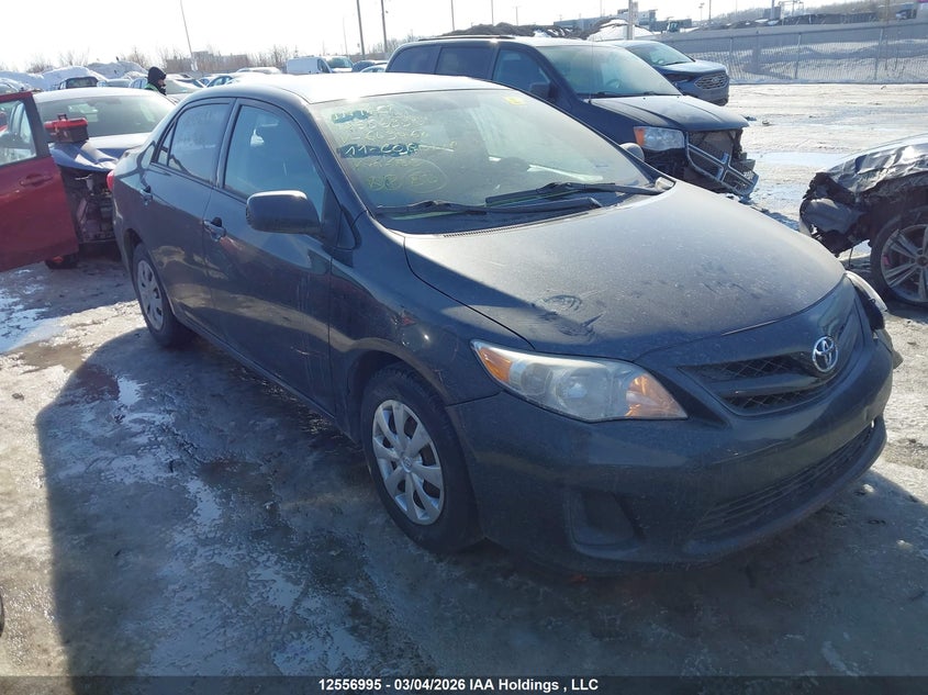 2T1BU4EE6BC649464 2011 Toyota Corolla auction photo 1