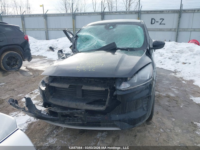 2021 Ford Escape Se VIN: 1FMCU9G62MUA43619 Lot: 12557084