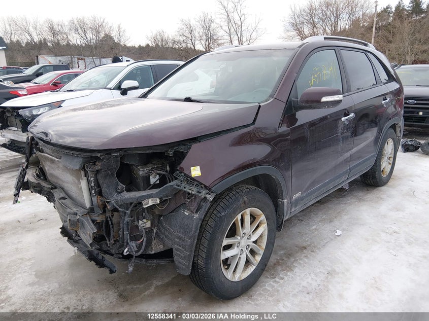 2015 Kia Sorento, Удар спереди, IAAI, VIN 5XYKTCA62FG579466 — фото 2