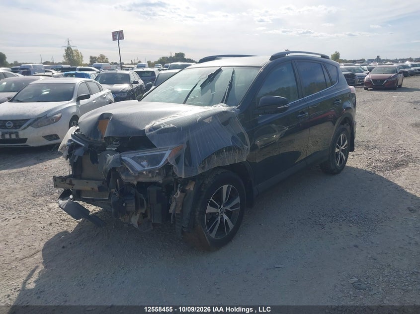 2018 Toyota Rav4 Le, Удар спереди, IAAI, VIN 2T3ZFREV3JW515487 — фото 2