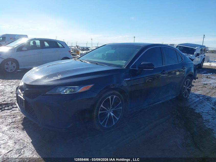 Vin: 4t1b21hk4ju507441, lot: 2951389, toyota camry hybrid se 20182