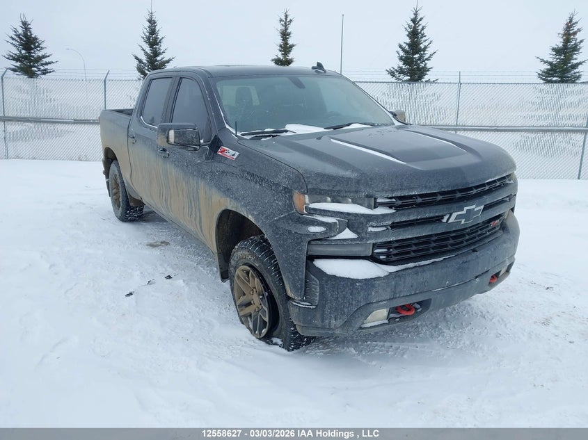1GCPYFED3LZ283936 CHEVROLET SILVERADO Photo 1