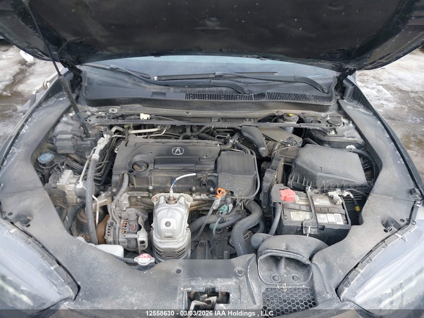 2018 Acura Tlx Elite A-Spec VIN: 19UUB1F86JA800913 Lot: 12558630