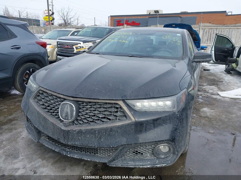2018 Acura Tlx Elite A-Spec VIN: 19UUB1F86JA800913 Lot: 12558630