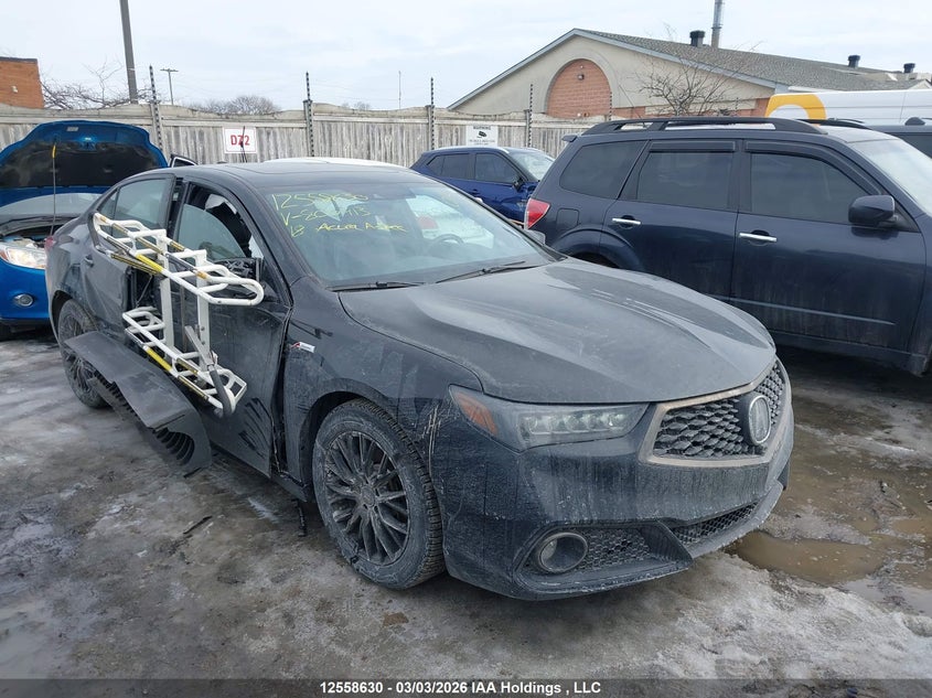 2018 Acura Tlx Elite A-Spec VIN: 19UUB1F86JA800913 Lot: 12558630