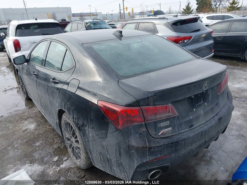 2018 Acura Tlx Elite A-Spec VIN: 19UUB1F86JA800913 Lot: 12558630