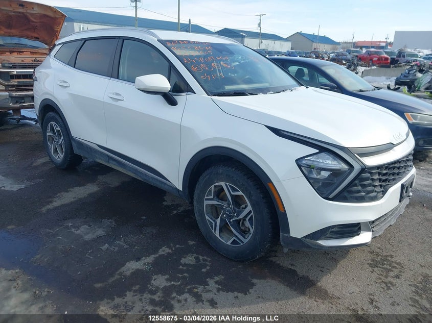 KNDPUCDF1R7281605 2024 Kia Sportage Lx auction photo 1