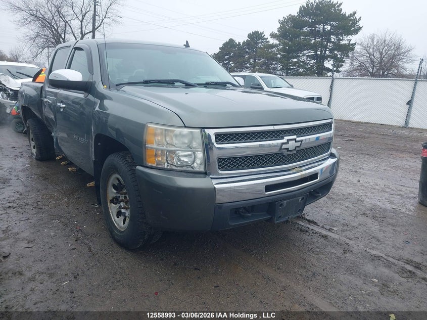 3GCPKREA2BG207552 CHEVROLET SILVERADO Photo 1