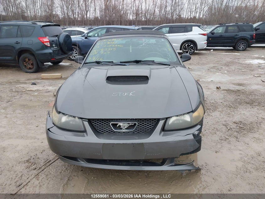 2003 Ford Mustang VIN: 1FAFP44433F415315 Lot: 12559081