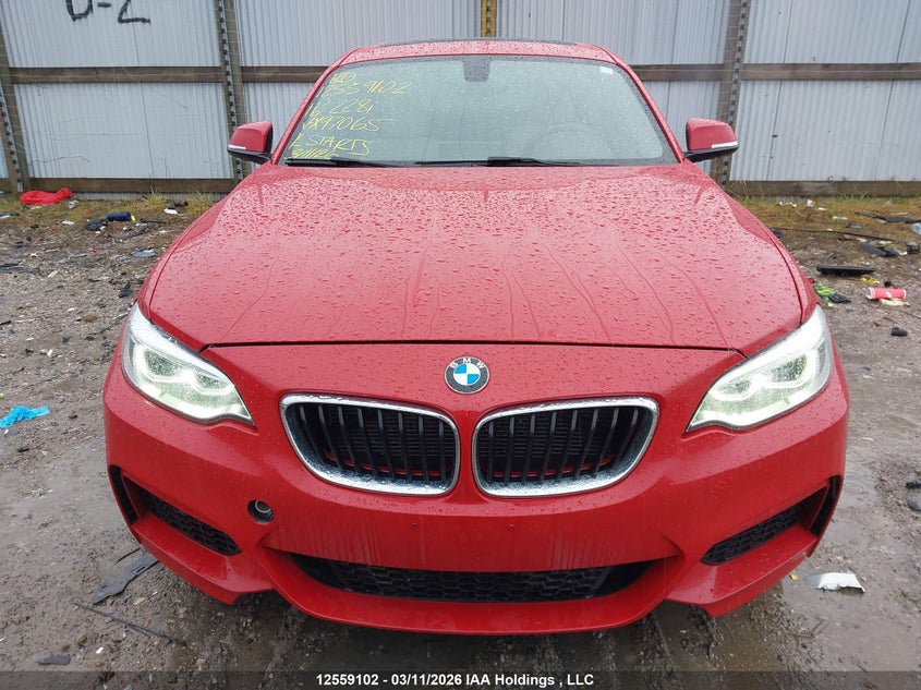 2016 BMW 228I xDrive VIN: WBA1G9C52GVX97065 Lot: 12559102