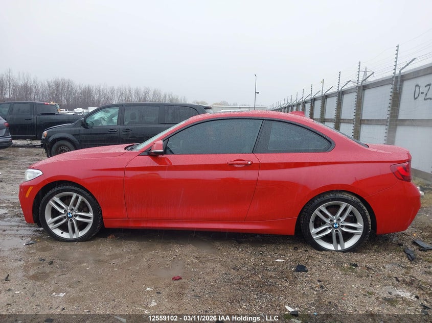 2016 BMW 228I xDrive VIN: WBA1G9C52GVX97065 Lot: 12559102