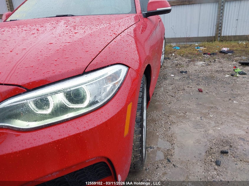 2016 BMW 228I xDrive VIN: WBA1G9C52GVX97065 Lot: 12559102