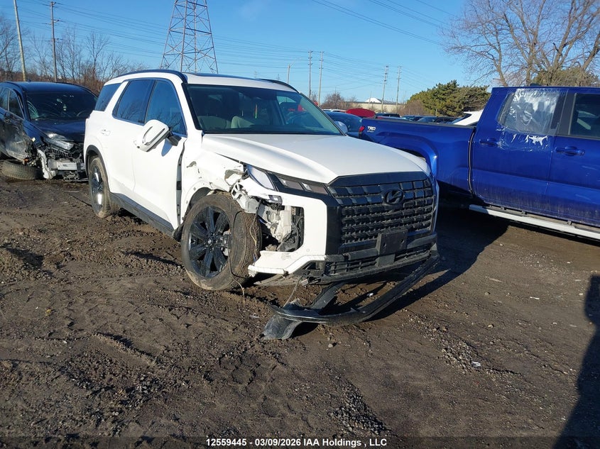 2025 HYUNDAI PALISADE