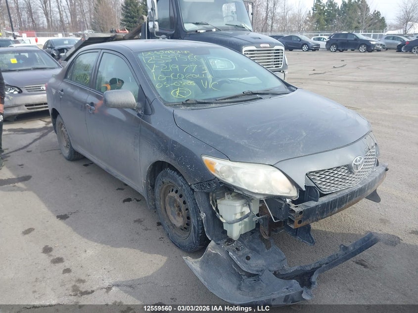 2010 Toyota Corolla S/Le/Xle