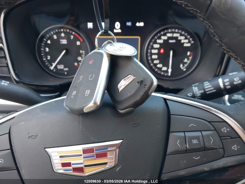 2025 Cadillac Xt5 Premium Luxury Awd VIN: 1GYKNDRSXSZ115817 Lot: 12559630