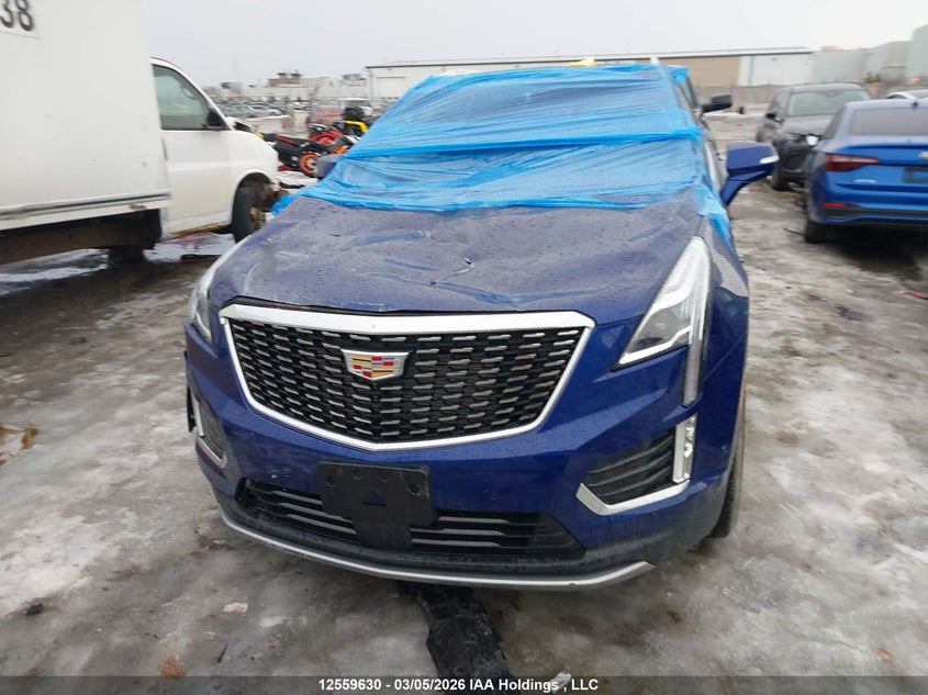 2025 Cadillac Xt5 Premium Luxury Awd VIN: 1GYKNDRSXSZ115817 Lot: 12559630