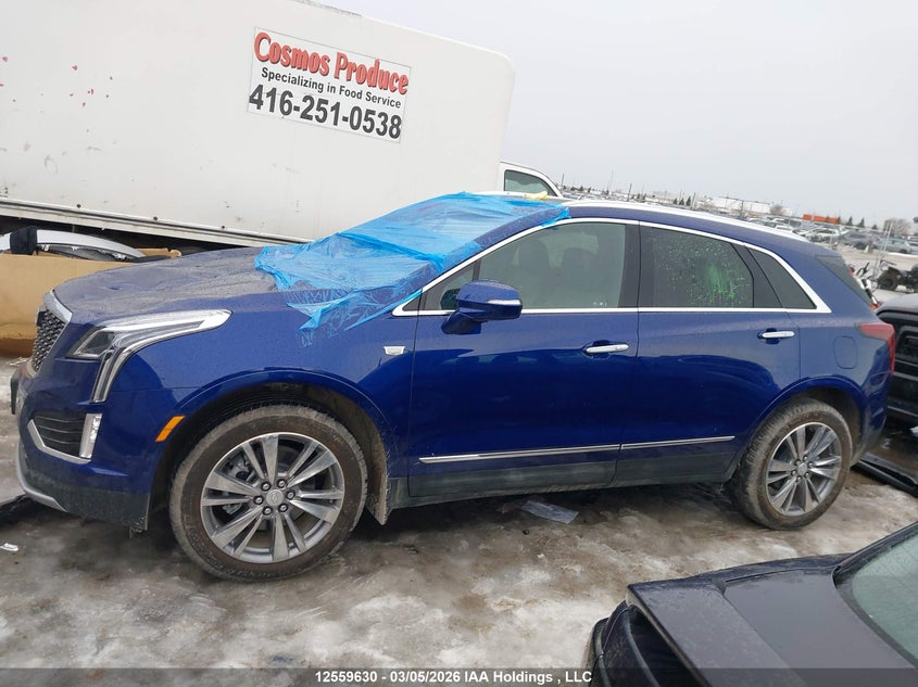2025 Cadillac Xt5 Premium Luxury Awd VIN: 1GYKNDRSXSZ115817 Lot: 12559630