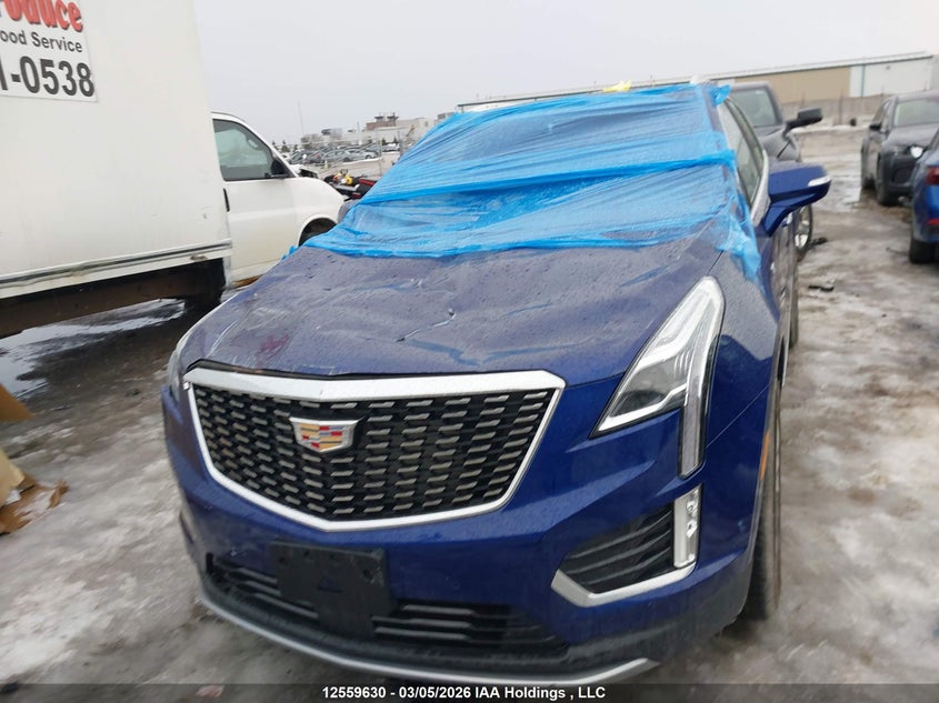 2025 Cadillac Xt5 Premium Luxury Awd VIN: 1GYKNDRSXSZ115817 Lot: 12559630