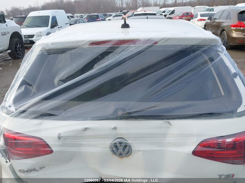 2015 Volkswagen Golf VIN: 3VW217AU6FM033815 Lot: 12560067