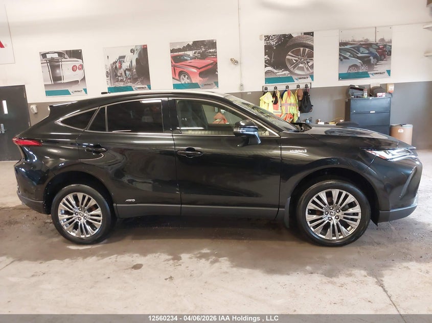 2021 Toyota Venza Le/Xle/Limited VIN: JTEAAAAH3MJ050513 Lot: 12560234