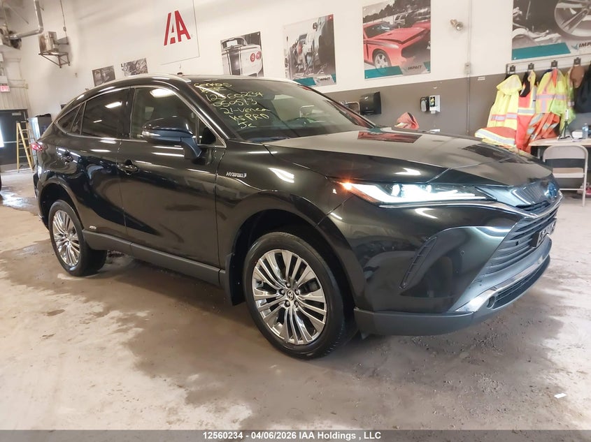 2021 Toyota Venza Le/Xle/Limited