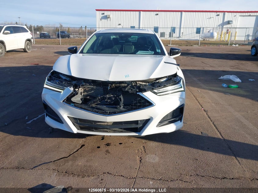 2021 Acura Tlx Platinum Elite VIN: 19UUB6F92MA800241 Lot: 12560875