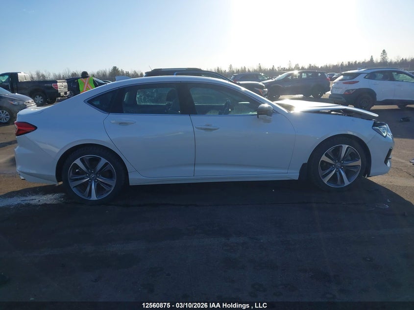 2021 Acura Tlx Platinum Elite VIN: 19UUB6F92MA800241 Lot: 12560875
