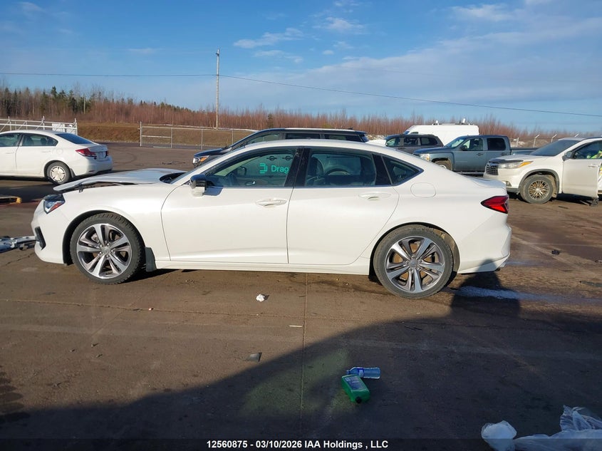 2021 Acura Tlx Platinum Elite VIN: 19UUB6F92MA800241 Lot: 12560875