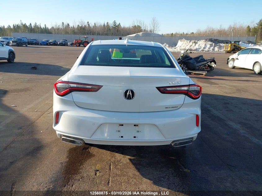 2021 Acura Tlx Platinum Elite VIN: 19UUB6F92MA800241 Lot: 12560875