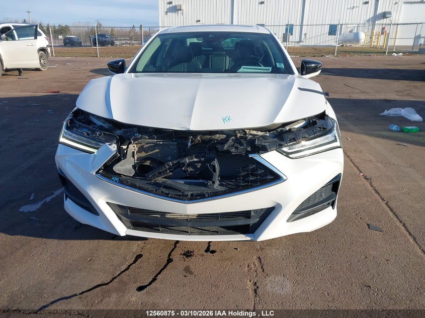 2021 Acura Tlx Platinum Elite VIN: 19UUB6F92MA800241 Lot: 12560875