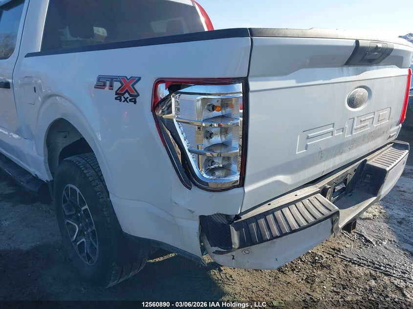 2022 Ford F-150 Xl VIN: 1FTEW1EP1NFB82327 Lot: 12560890