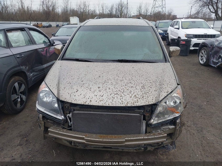 2008 Honda Odyssey Ex VIN: 5FNRL384X8B505175 Lot: 12561490