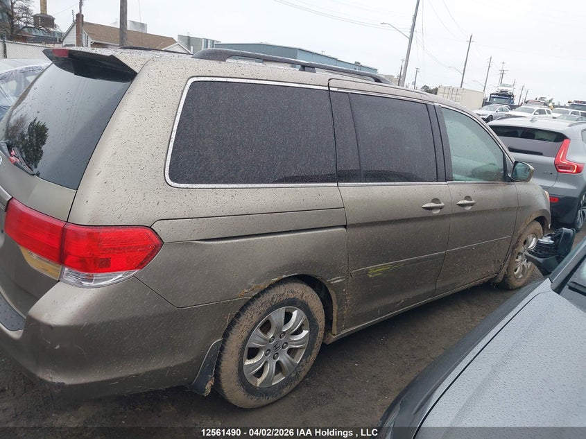 2008 Honda Odyssey Ex VIN: 5FNRL384X8B505175 Lot: 12561490