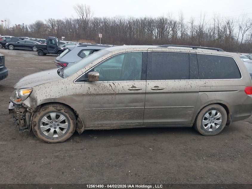 2008 Honda Odyssey Ex VIN: 5FNRL384X8B505175 Lot: 12561490