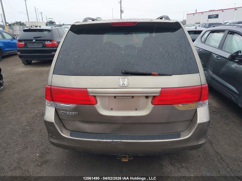 2008 Honda Odyssey Ex VIN: 5FNRL384X8B505175 Lot: 12561490