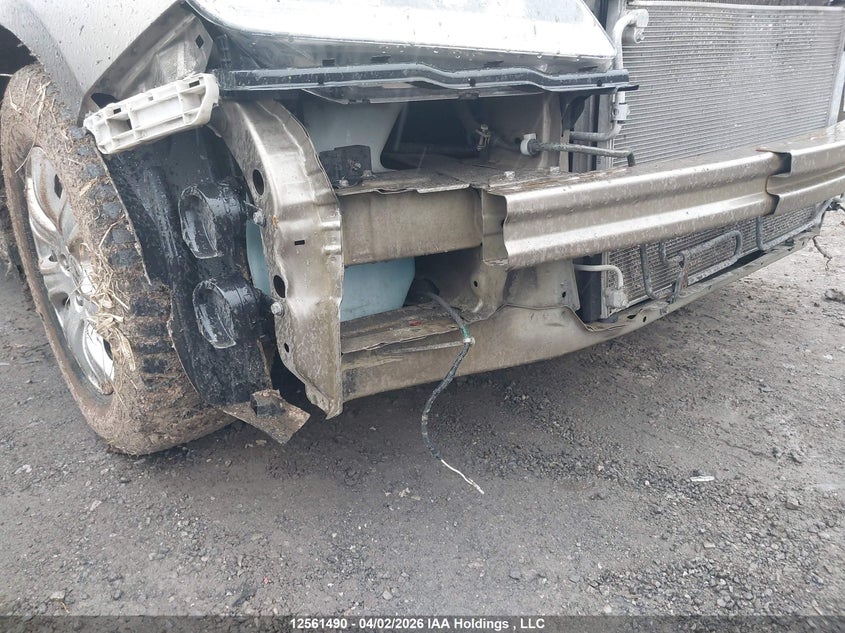 2008 Honda Odyssey Ex VIN: 5FNRL384X8B505175 Lot: 12561490