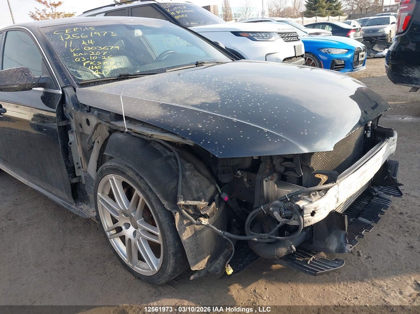 2011 Audi A4 Premium Plus VIN: WAUFFCFL1BN003679 Lot: 12561973