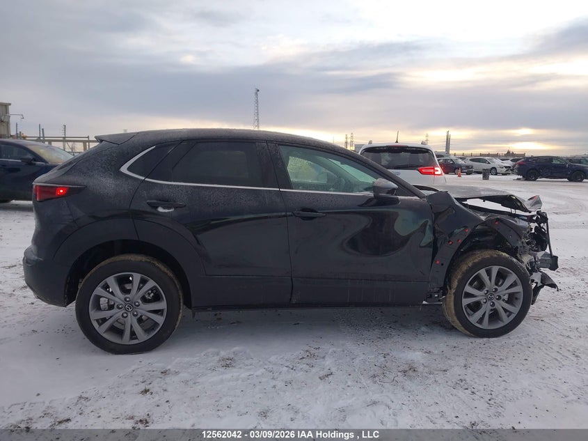 2025 Mazda Cx-30 Gs VIN: 3MVDMBCM2SM861548 Lot: 12562042