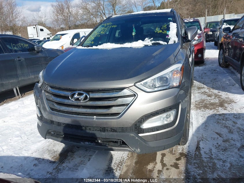 2014 Hyundai Santa Fe Sport VIN: 5XYZUDLA8EG224125 Lot: 12562344