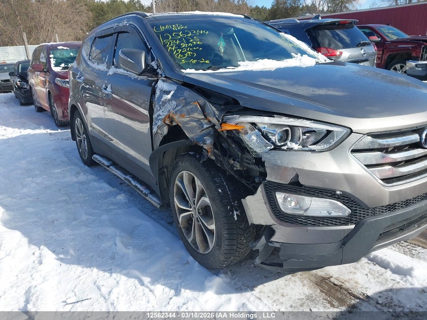 2014 Hyundai Santa Fe Sport VIN: 5XYZUDLA8EG224125 Lot: 12562344