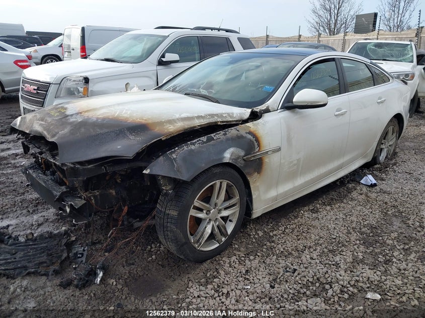 Vin: sajxj1cd7f8v84215, lot: 2955693, jaguar xj 20152