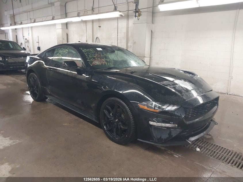 2022 FORD MUSTANG