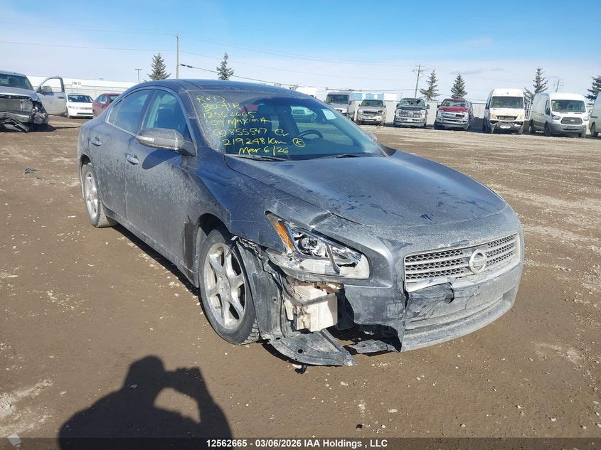 2009 NISSAN MAXIMA S/SV