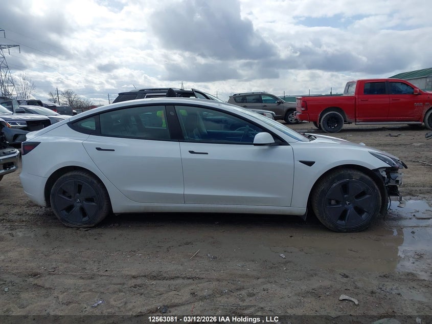 2023 Tesla Model 3 VIN: 5YJ3E1EA4PF502382 Lot: 12563081