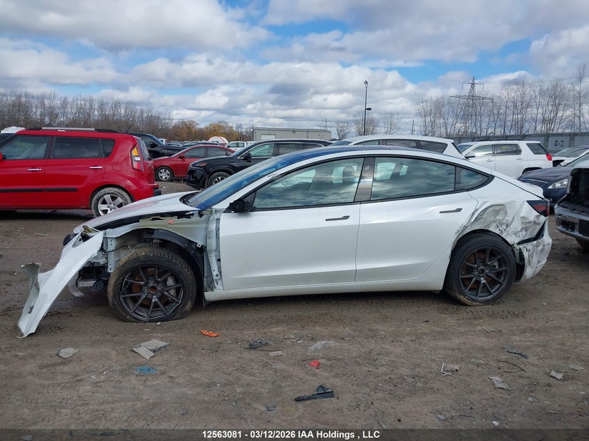2023 Tesla Model 3 VIN: 5YJ3E1EA4PF502382 Lot: 12563081
