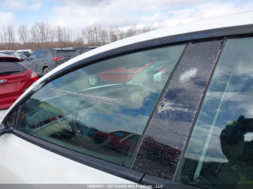 2023 Tesla Model 3 VIN: 5YJ3E1EA4PF502382 Lot: 12563081